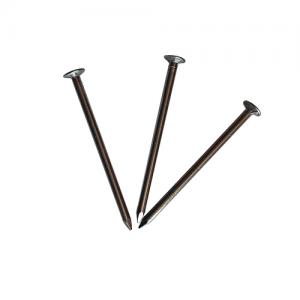 Iron Steel Smooth Shank Round Head Common Wire Nails